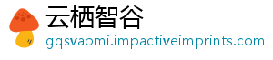 命召W组者系列唤了创意前I使开发枯竭-云栖智谷